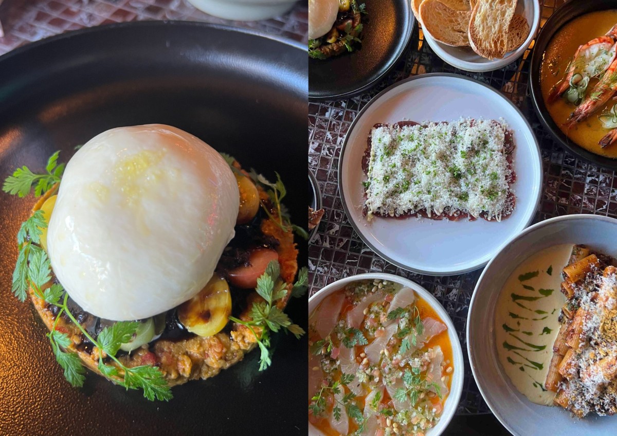 Plates of gourmet dishes including burrata, pasta, and seafood served on a restaurant table