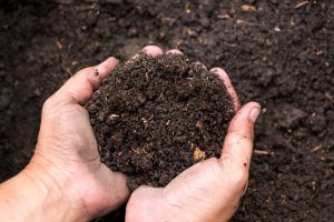 Managing on-farm compost