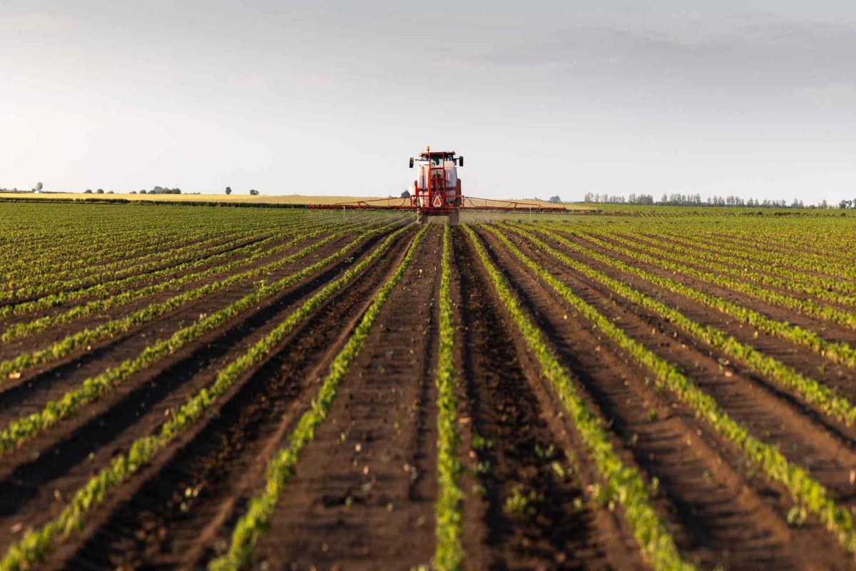 A tractor spraying rows of young crops across a wide agricultural field under a clear sky