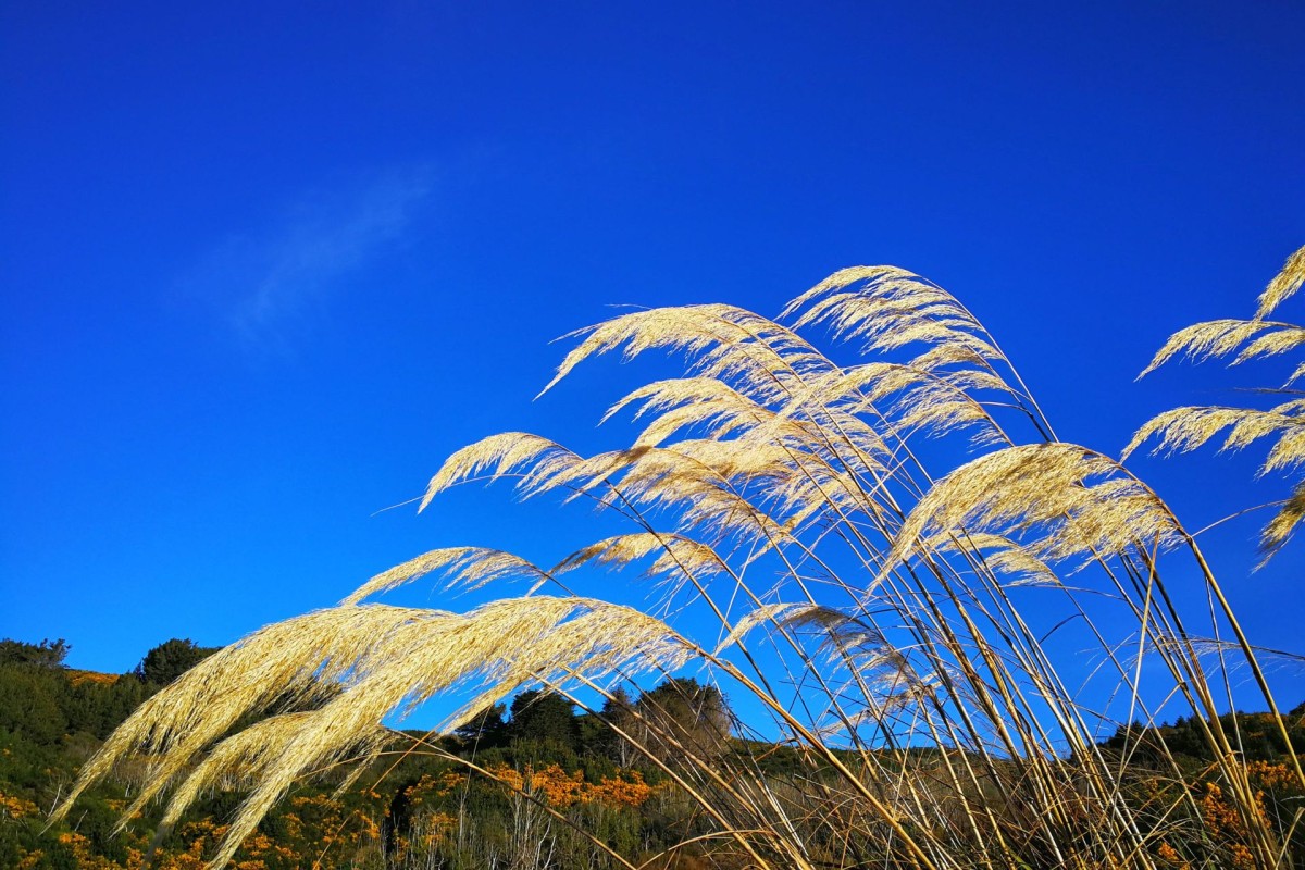 An image of a clear sky weather