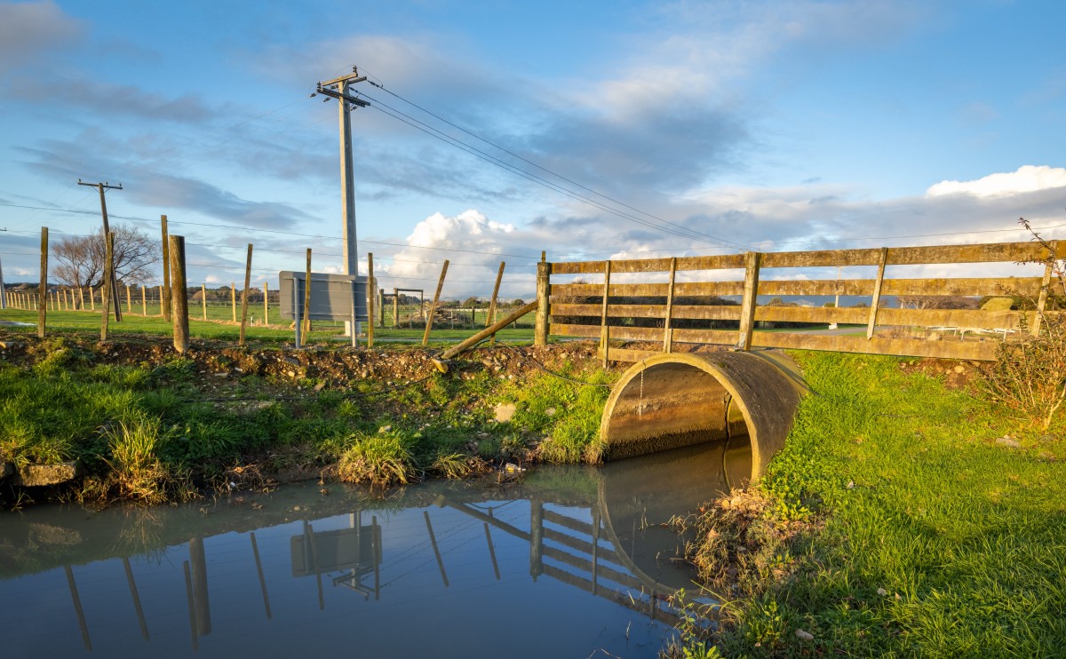 Government moves to speed up approvals for agricultural and horticultural products