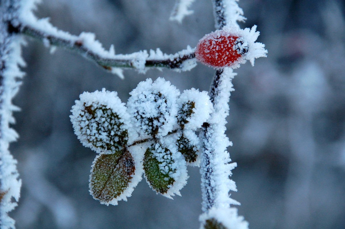 Winter illnesses rise as winter bites