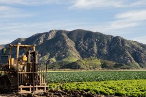 Greens’ fertiliser phase-out puts farmers on edge