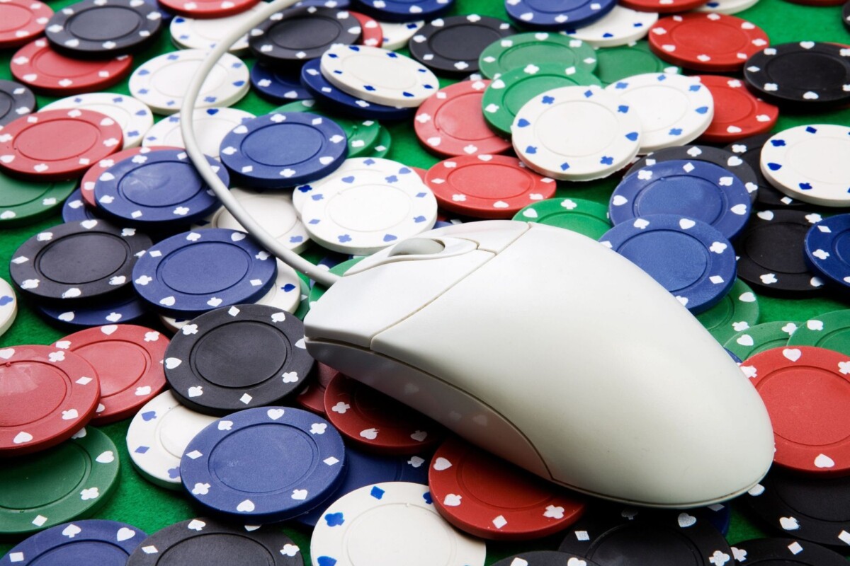 Culture betting is booming offshore, but New Zealand has shut the door