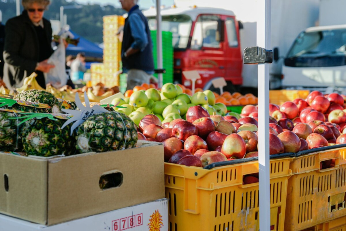 Gene editing food in New Zealand, the case for and against