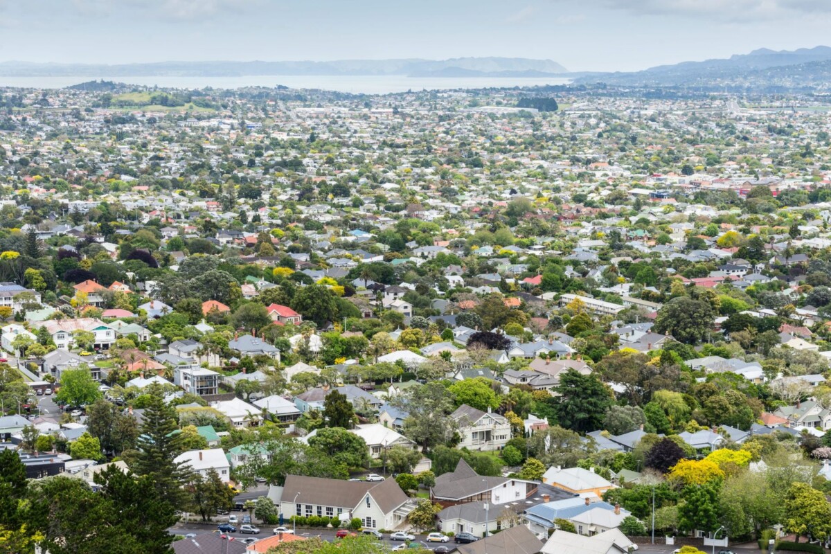 Aerial view of a suburban New Zealand neighbourhood with tree-lined streets, houses, and distant coastal hills.