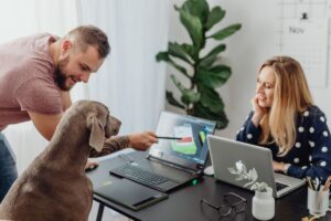 Is a pet-friendly office a better place to work?