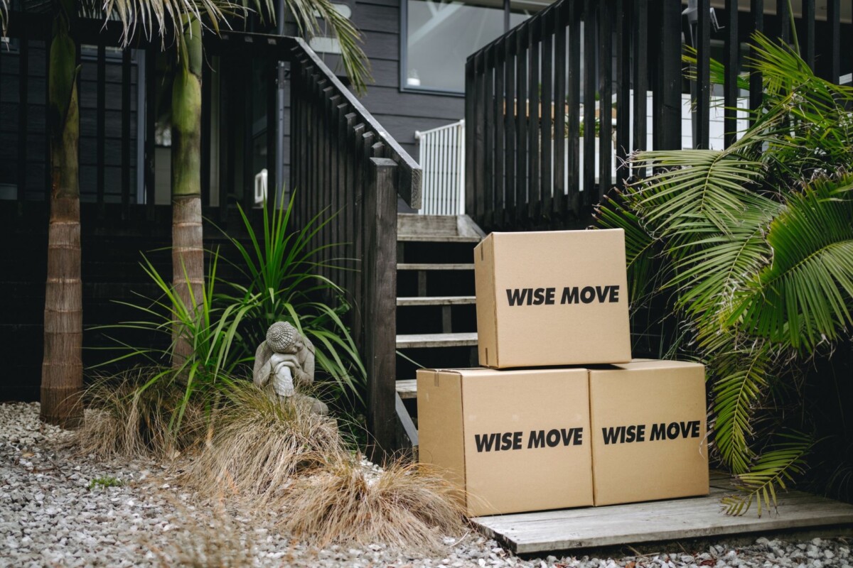 From a single sofa to a full home: moving with Wise Move